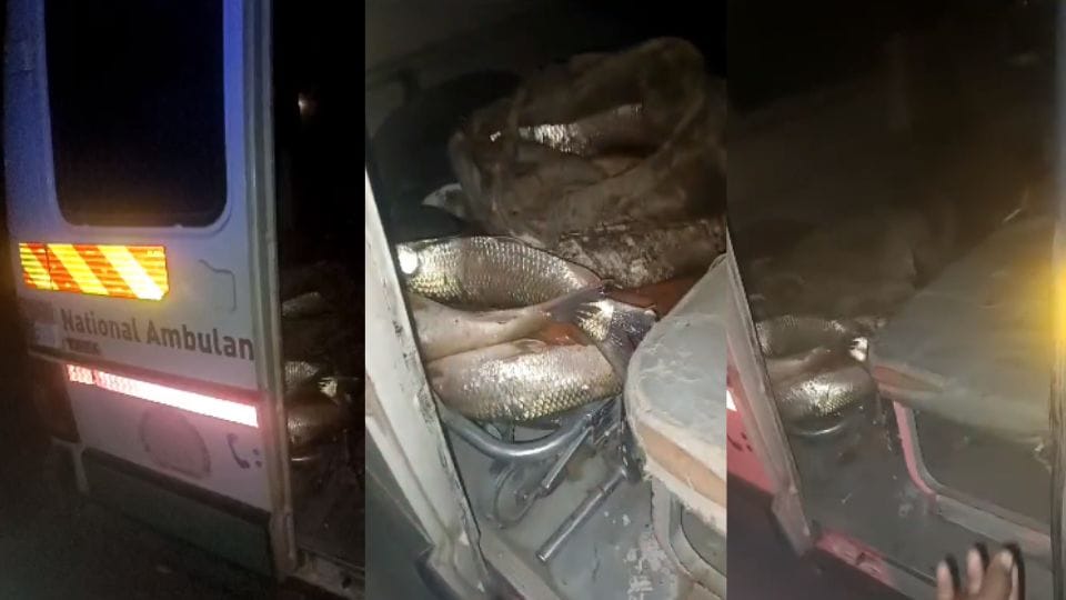 Fish found in ambulance in Jalaun police arrested three people