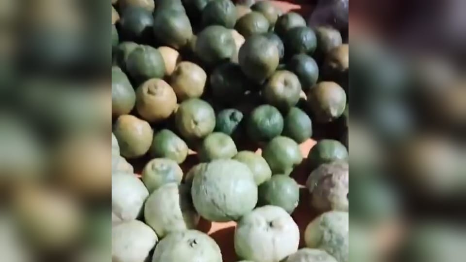 Uttarkashi tunnel Rescue Labourers Video Viral showed how they spent 17 days