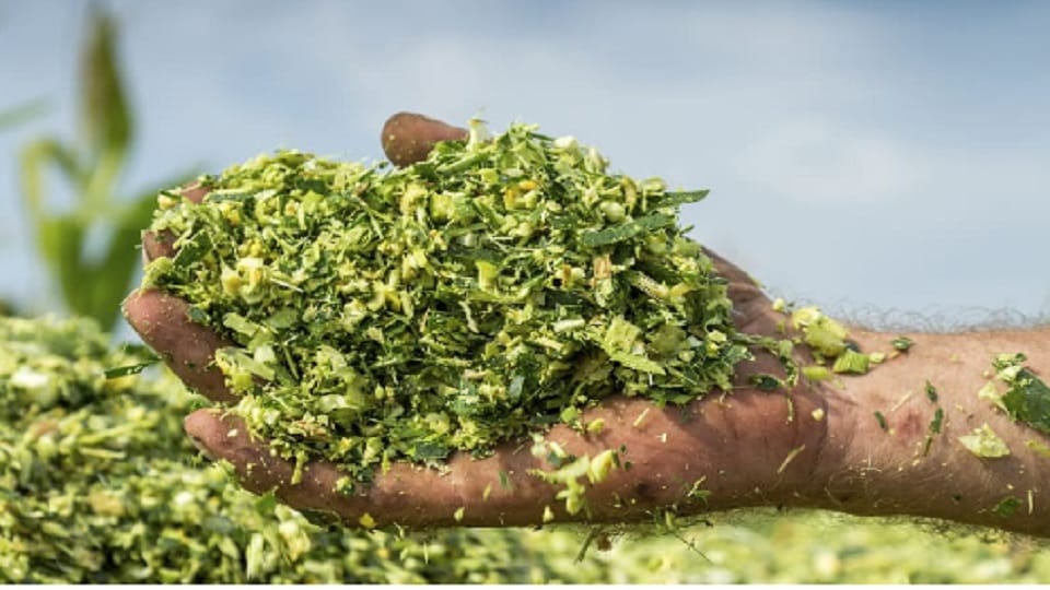Kumaon first silage manufacturing factory will open in US Nagar uttarakhand
