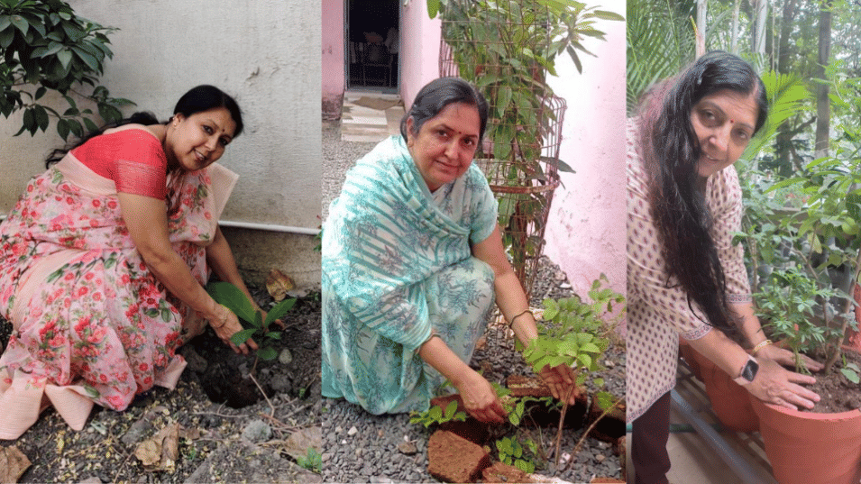 green planet oxygen save tree plantation