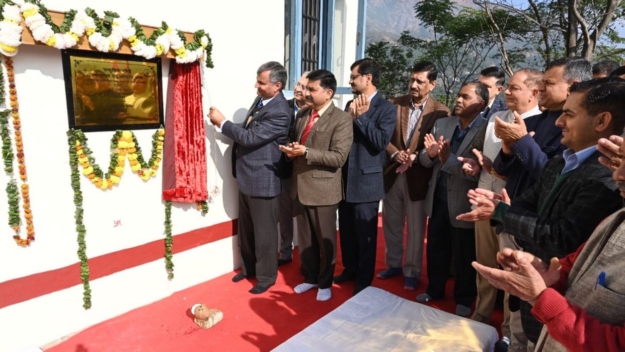 Solan News: UG and PG courses on natural farming will start in Nauni University