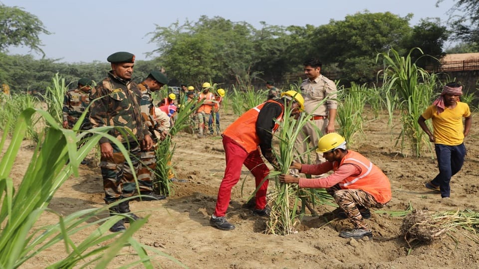 Delhi Gramodaya Abhiyan: Model urbanized villages will be built with Rs 800 crores.
