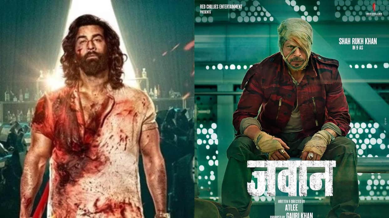 Animal Day 2 Box office Collection Ranbir Kapoor Rashmika mandanna anil Kapoor tripti dimri anil kapoor