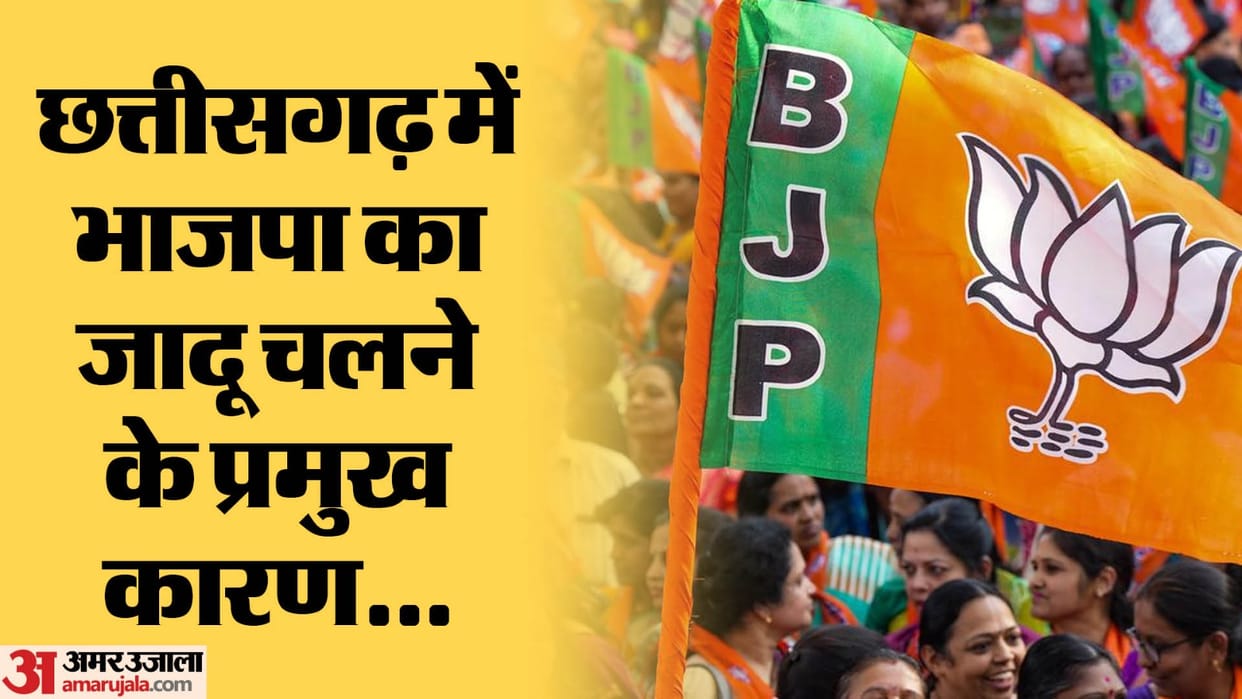 Chhattisgarh Election Result 2023 Update Know BJP Reason Of Winning in CG Assembly Election
