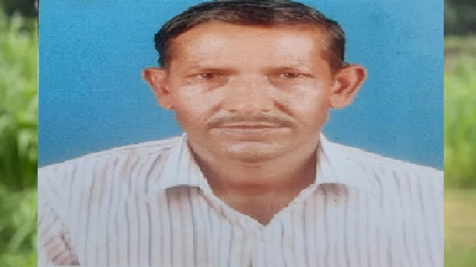 Rampur: Dead body of a worker found hanging from a tree in Tanda, police is investigating.