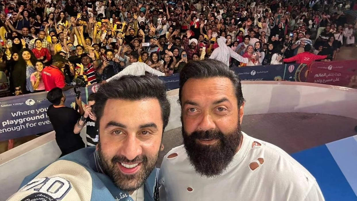 Animal Day 3 Box Office Collection all india all languages ranbir Kapoor Rashmika Tripti dimri bobby deol