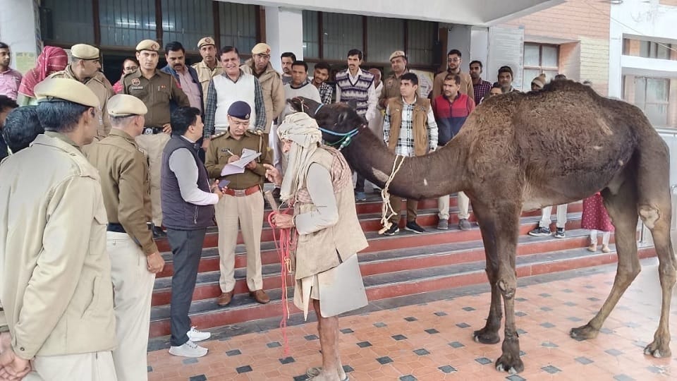 problem of elderly was not resolved Mini Secretariat reached In Narnaul