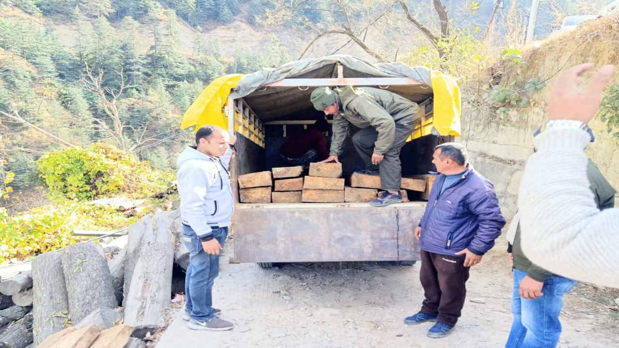 Smuggler tried to crush forest guards, left the vehicle and ran away, 33 devdar sleepers seized