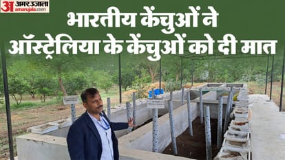 Exclusive: भारतीय केंचुओं ने बनाई सबसे अधिक खाद, ऑस्ट्रेलिया के केंचुओं को दी मात; गुणवत्ता में कोई अंतर नहीं Indian earthworms produced most fertilizer defeating Australia earthworms In jhansi