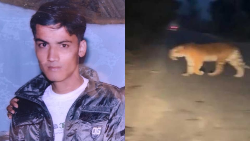 Tiger kills farmer of Uttarakhand in Pilibhit