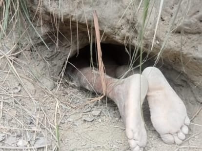 Bihar : सुरंग में दम घुटने से युवक की मौत; खुदाई के लिए नहीं, किसी को पकड़ने के लिए घुसकर फंस गया वह Bihar News : Youth dies due to suffocation in tunnel in Samastipur; entered to catch the wild royal bird.