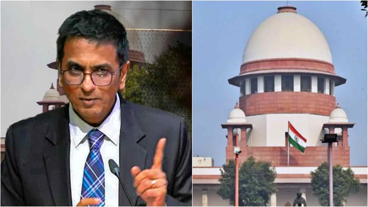 Citizenship Law Supreme Court CJI Chandrachud Govt latitude necessary adjustments to save nation