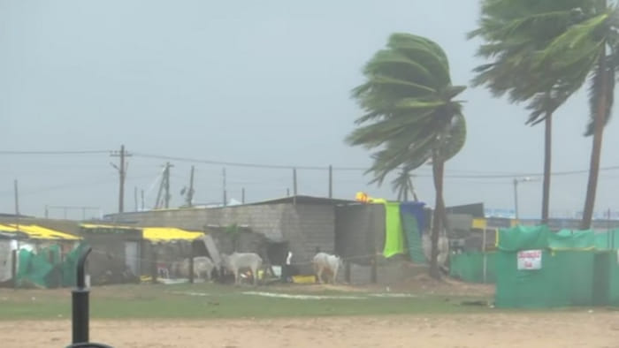 Cyclone Michaung weakens into deep depression over central coastal Andhra IMD