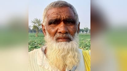 UP: Cauliflower is being sold at two rupees per kg market, farmers are driving tractors on standing crops