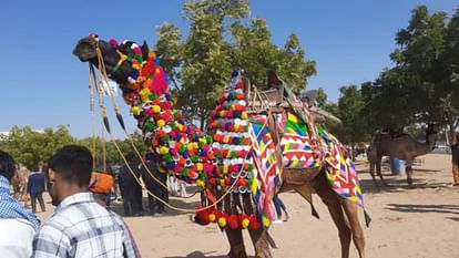 Ride camel and horse watch puppet show in Agra grand festival will last for two days