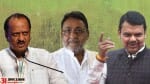 अजित पवार,नवाब मलिक,देवेंद्र फडणवीस।