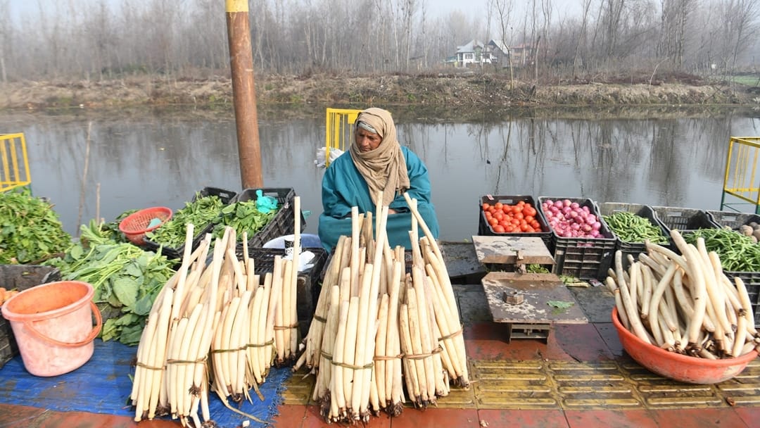 jammu kashmir weather: Fog along with cold wave hits valley cold increases at night in Jammu too