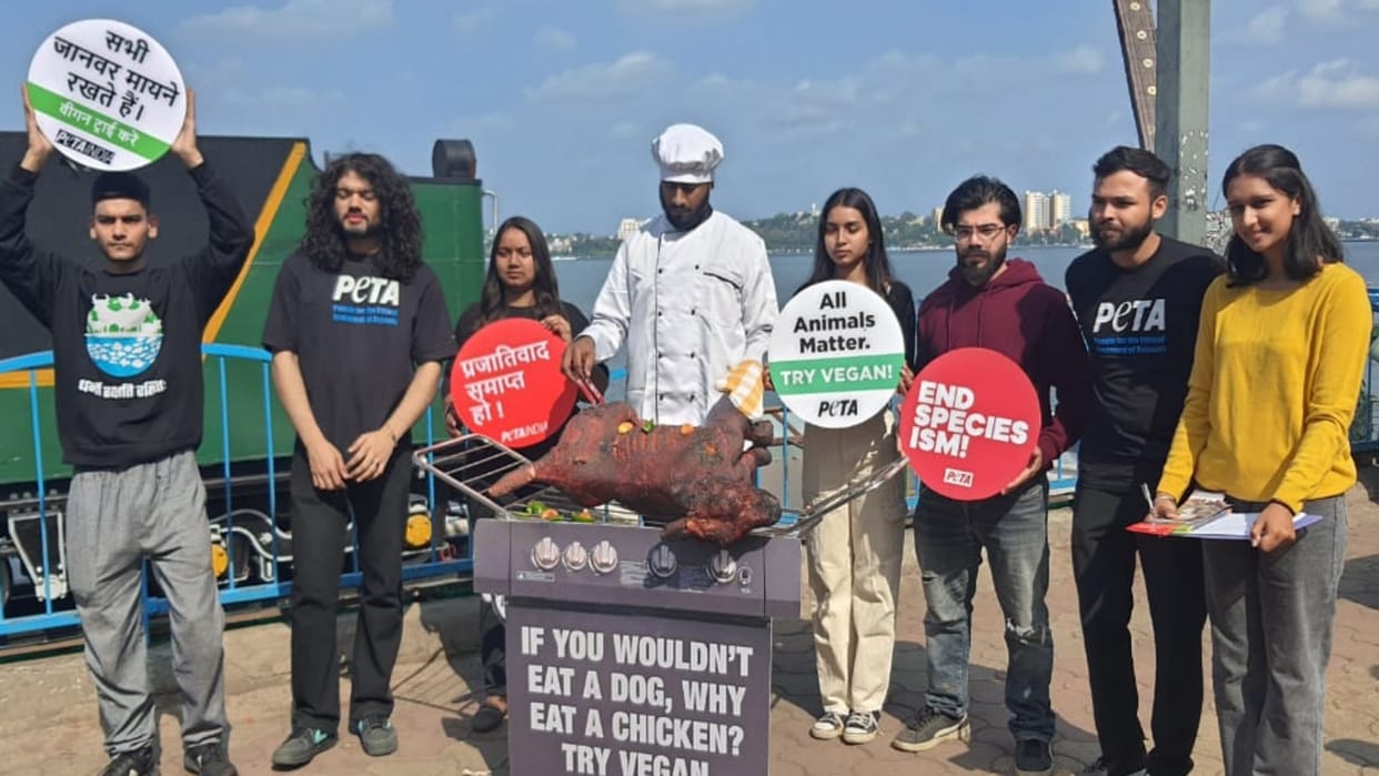 Bhopal News: PETA supporters roasted symbolic dog on fire, inspired it to become vegetarian