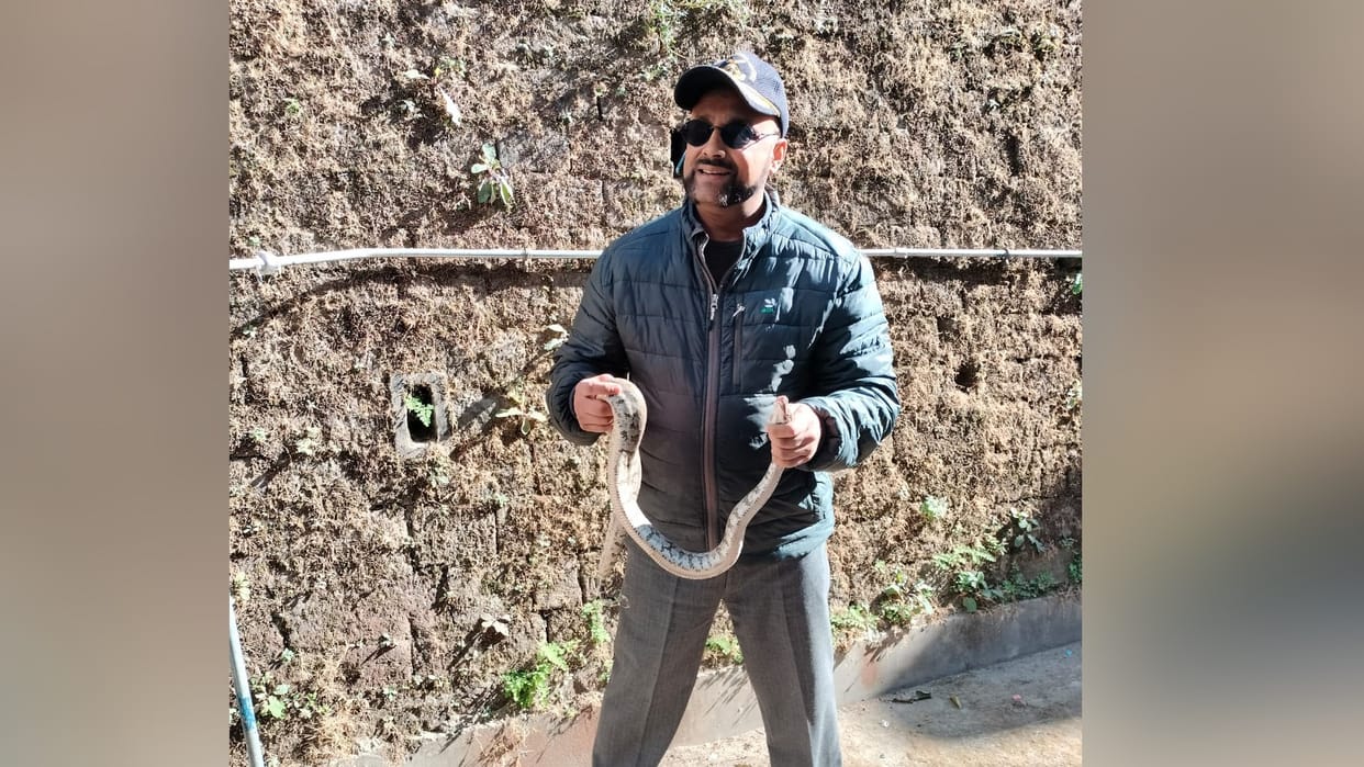 Python Rescued in Nahan Sirmour himachal Pradesh