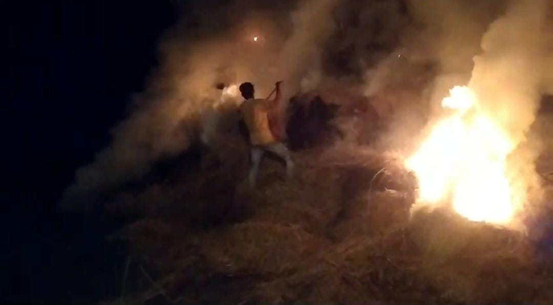Shahdol: Unknown mischievous elements set fire to the paddy kept in the barn, causing loss of thousands