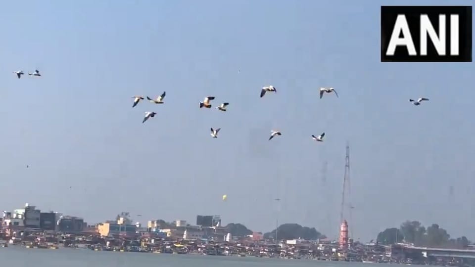 Siberian migratory birds have started arriving in Brijghat, Hapur