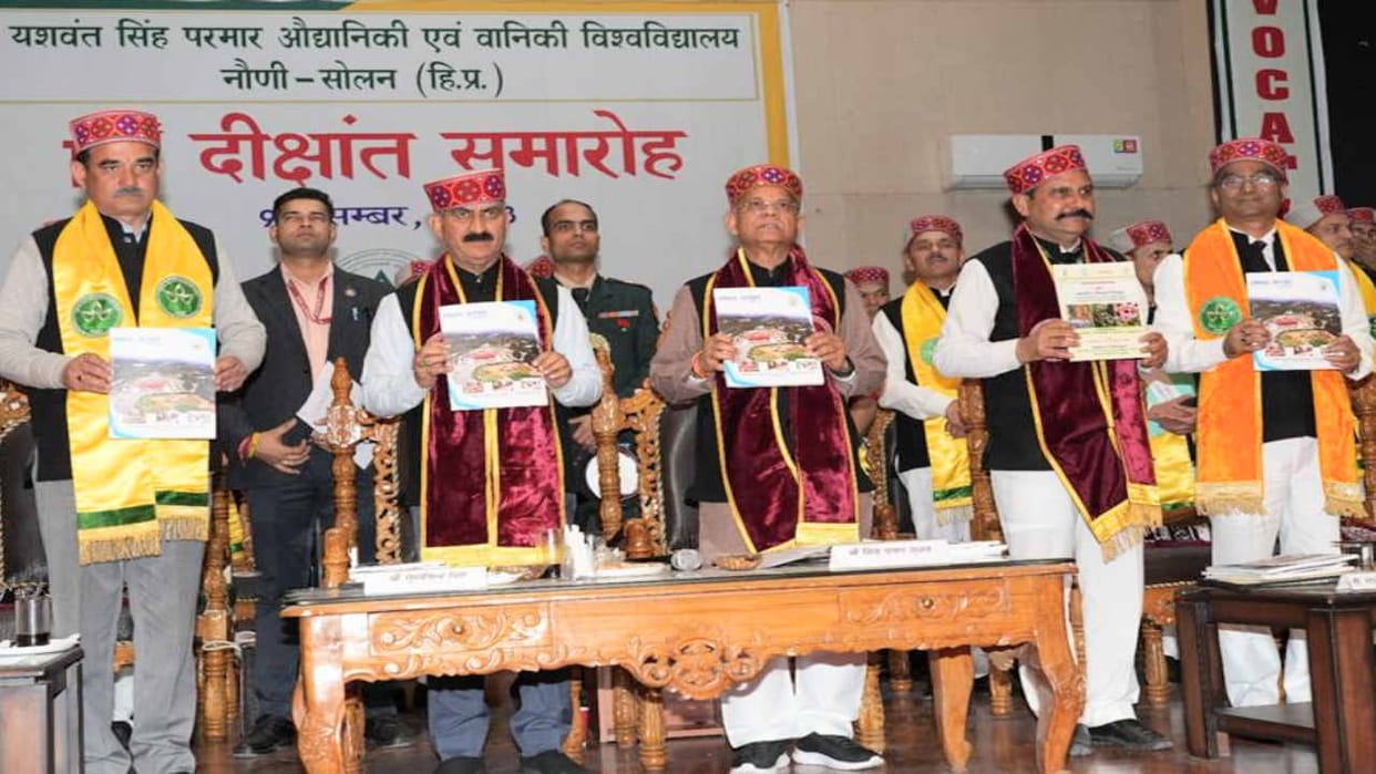 cm sukhvinder Sukhu said - State govt will provide employment to the youth by setting up solar plants.