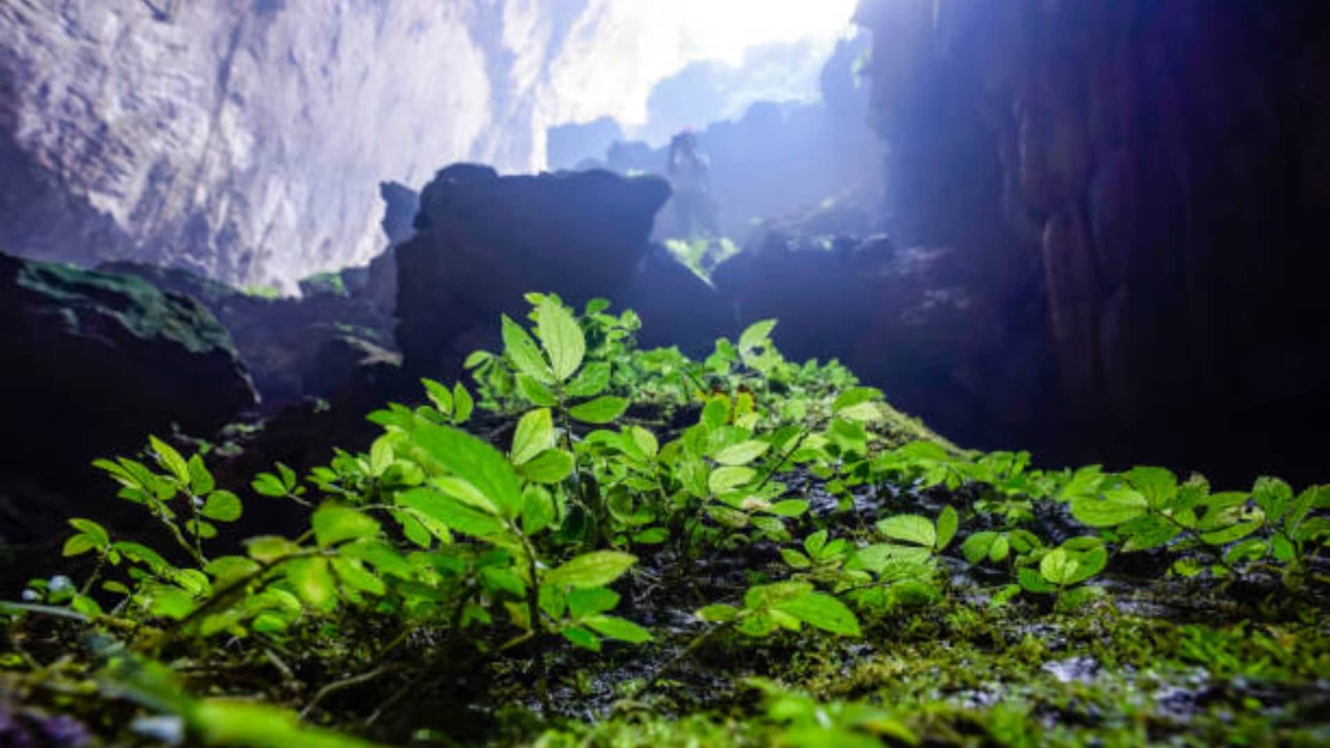 Worlds Largest Cave know the interesting facts about Hang Son Doong Cave