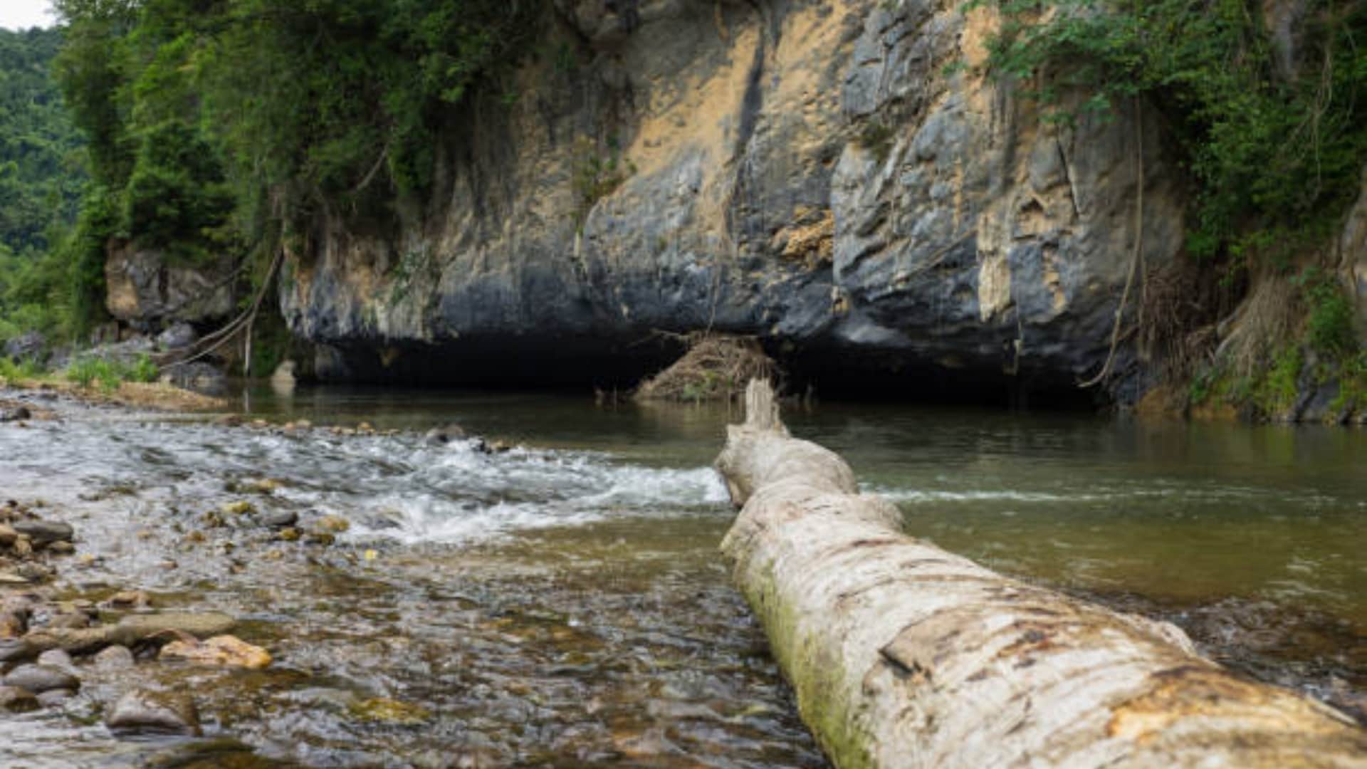 Worlds Largest Cave know the interesting facts about Hang Son Doong Cave
