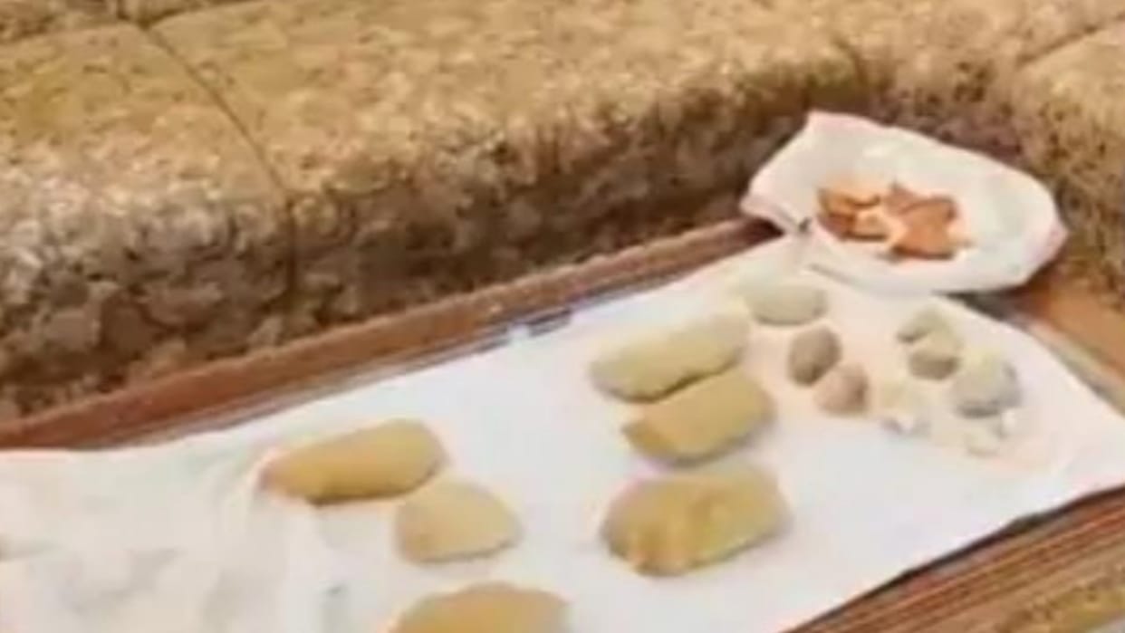 Rajsthan News: Archeology Department found tools and weapons during excavation, evidence of primitive human ci