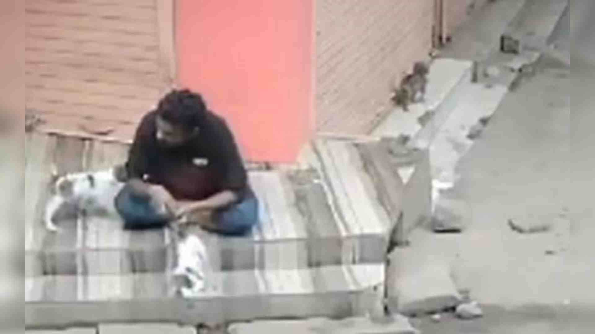 कुत्ते के बच्चे के साथ क्रूरता की सीसीटीवी फुटेज।