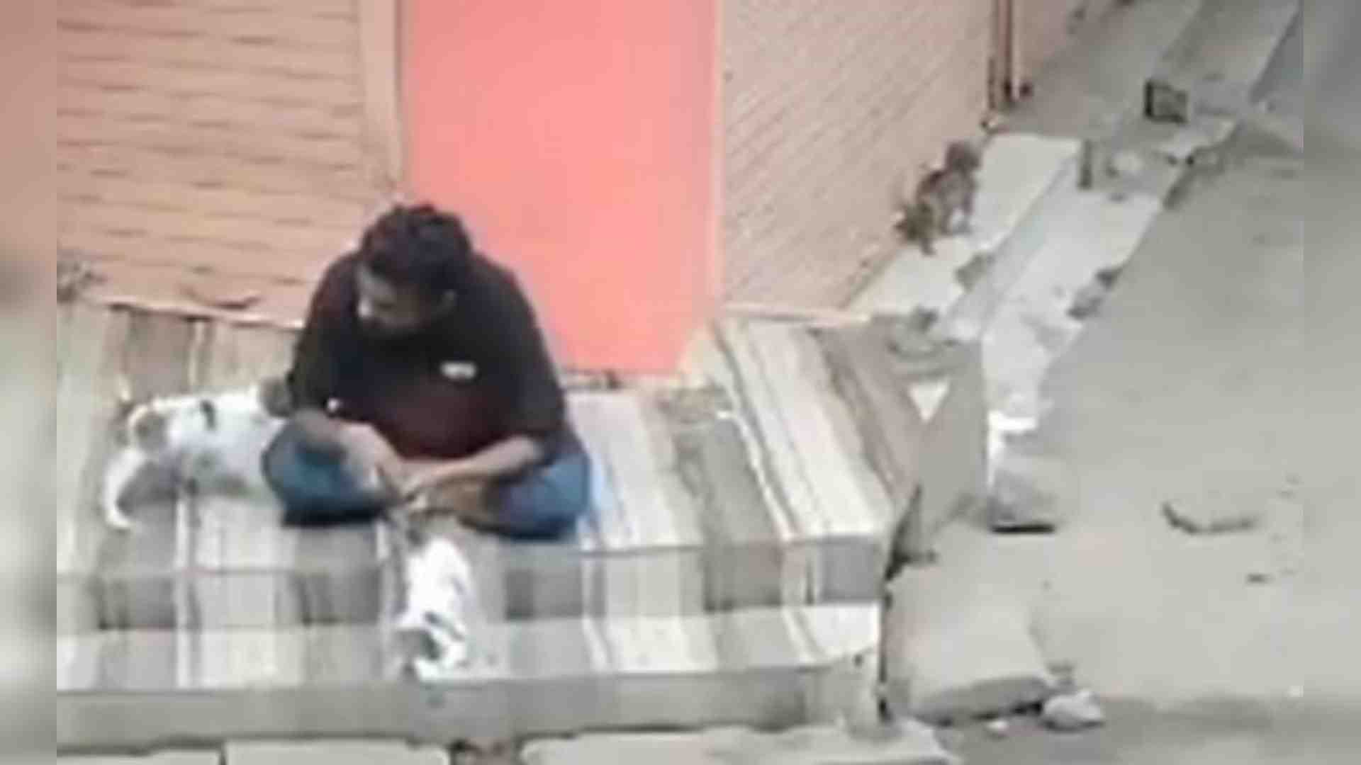 कुत्ते के बच्चे के साथ क्रूरता की सीसीटीवी फुटेज।