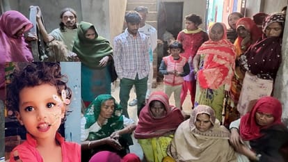 Sambhal: Monkeys attacked six year old girl, she died after falling from roof