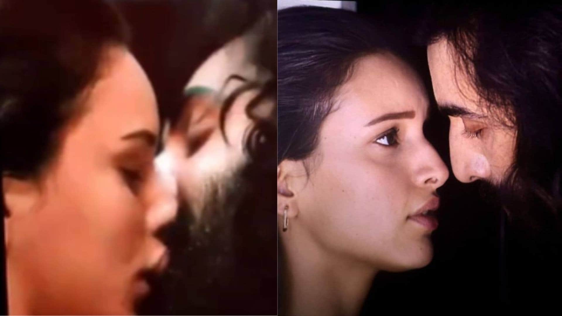 Animal Star Triptii Dimri Reveals Sandeep Reddy Vanga told about her character of zoya to love ranbir kapoor