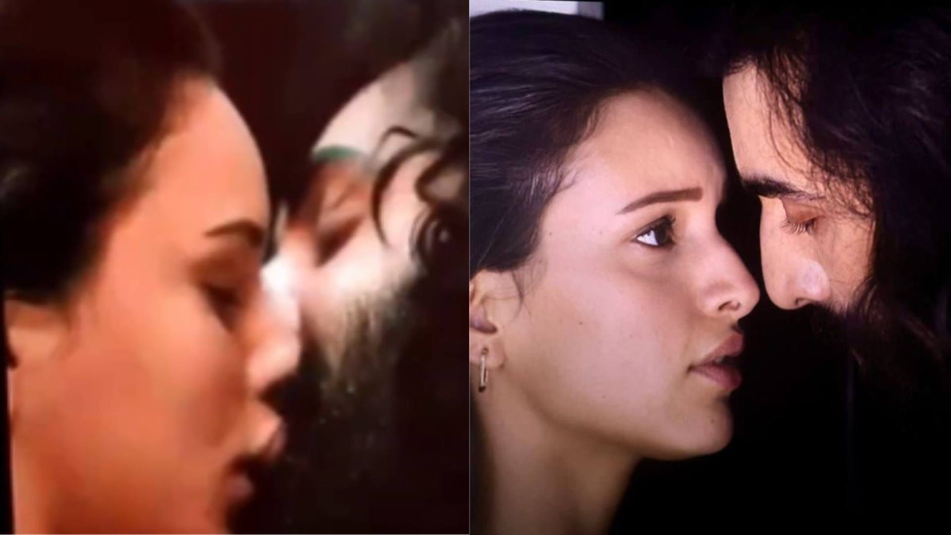 Animal Star Triptii Dimri Reveals Sandeep Reddy Vanga told about her character of zoya to love ranbir kapoor