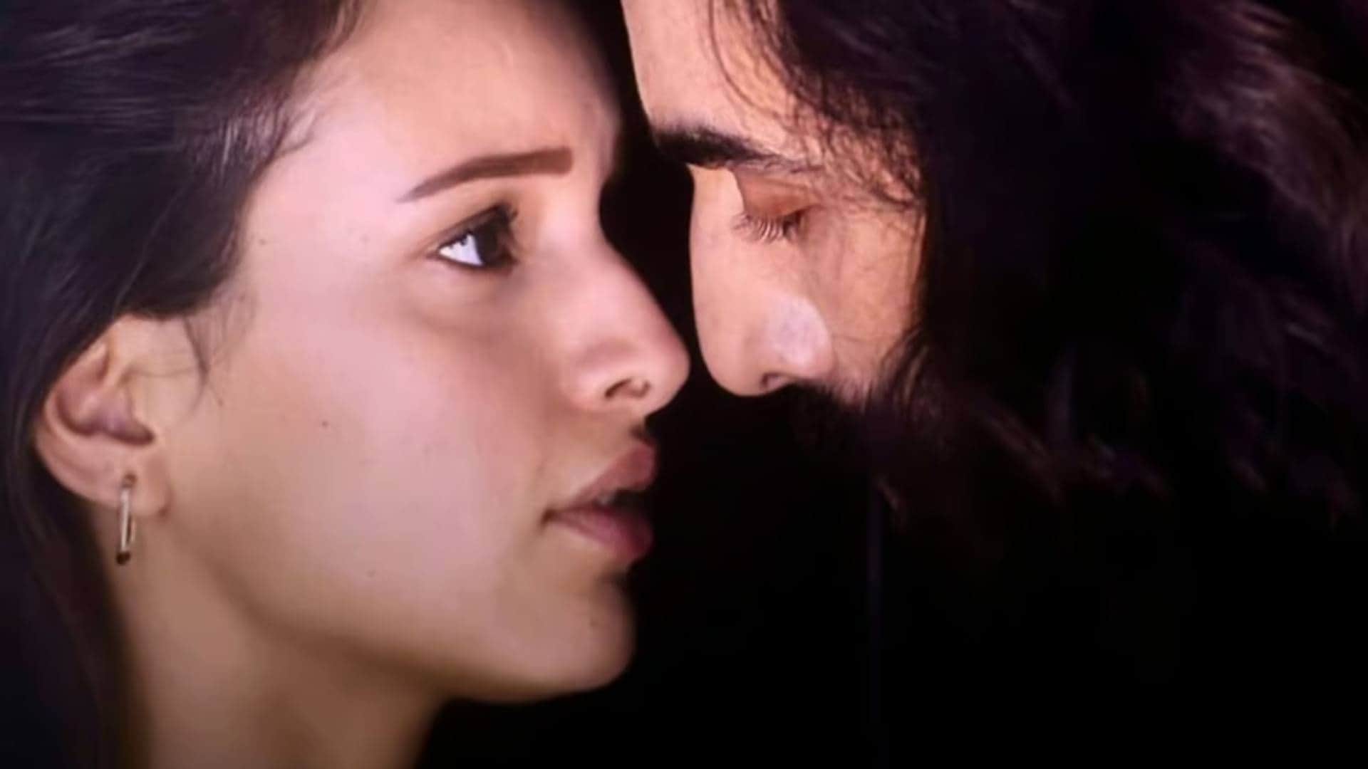 Box Office Collection Report Day 13 Animal Sam Bahadur Know These Film Total Earnings