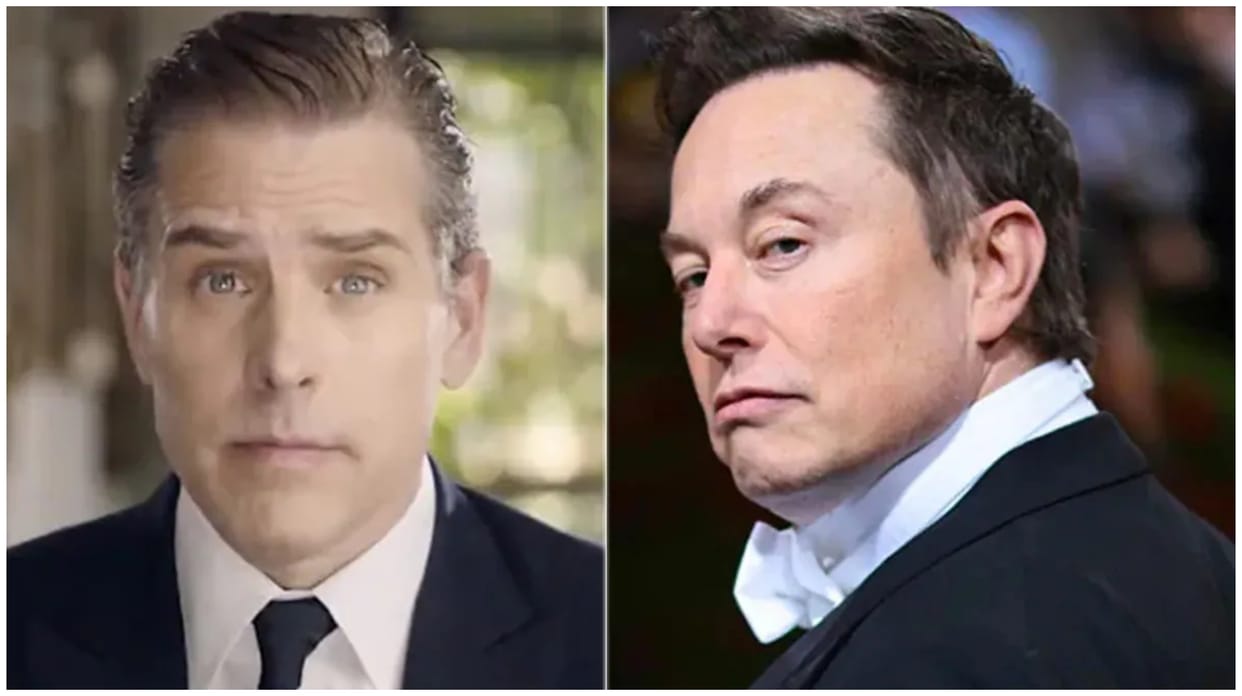 Hunter Biden Calls Elon Musk World's Dumbest Smart Person, Billionaire Reacts