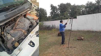 Dead snake found in principal's car in Chhatarpur government school
