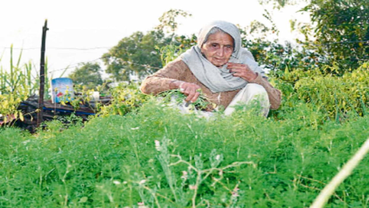 Mother Sansar Dei said – Son Sukhu showed a heart like a mountain in the disaster