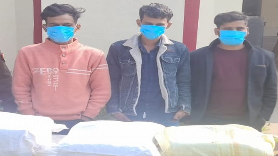 Police arrested three ganja smugglers in Budaun