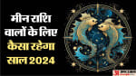मीन राशि वार्षिक राशिफल 2024