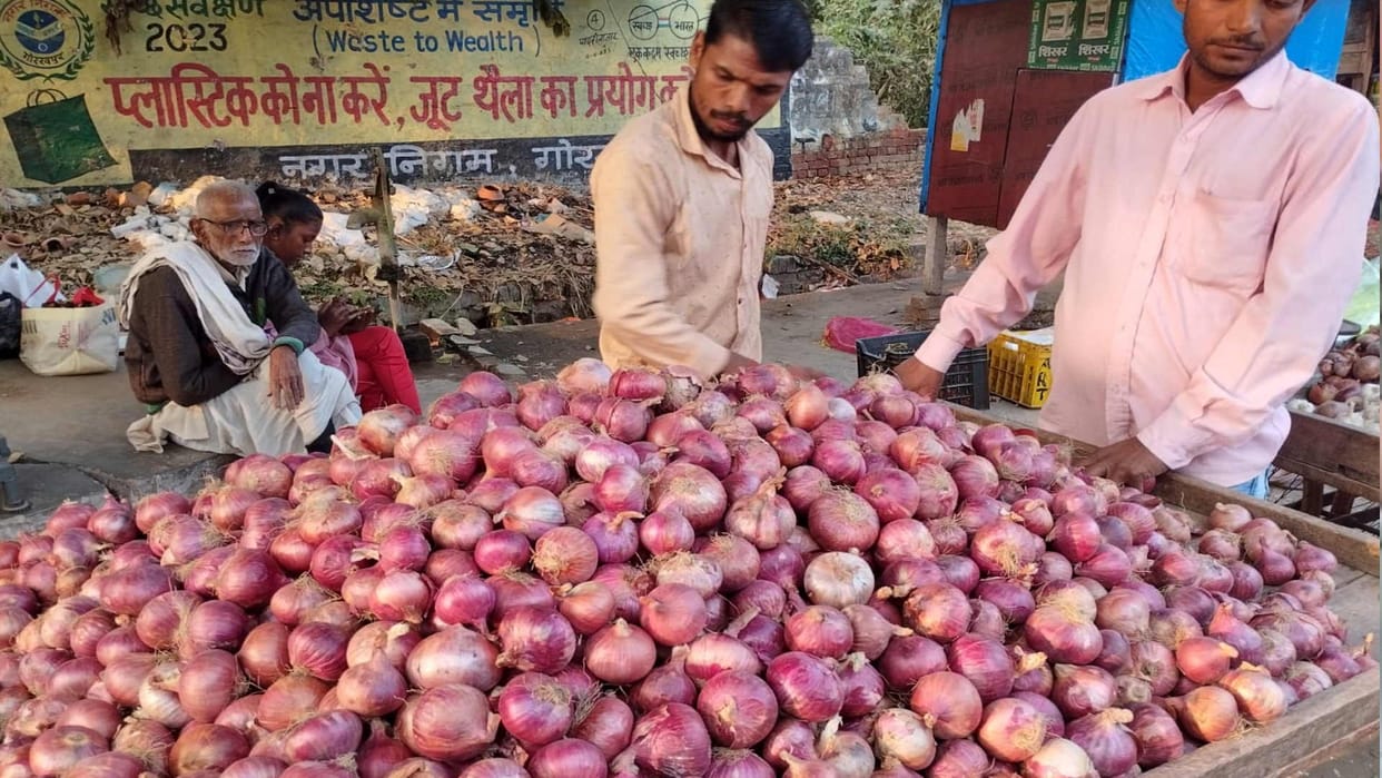 Consignment arrived from Nashik onion prices at the ground level