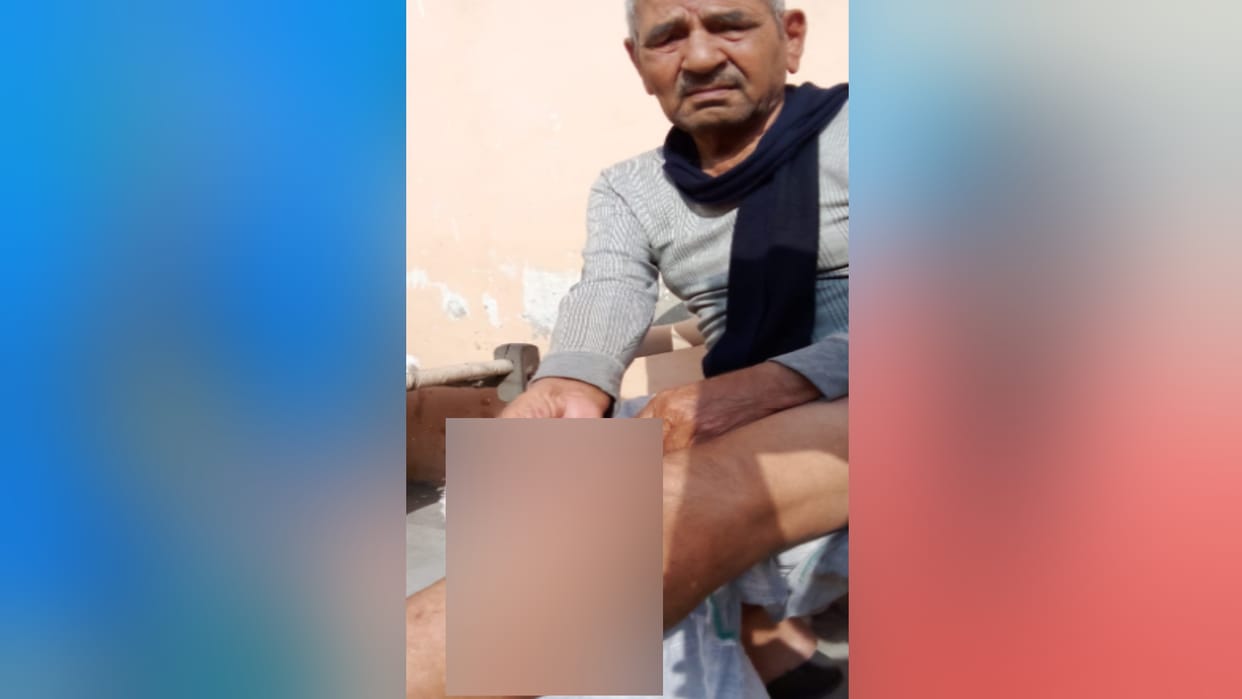 Meerut News: Stray dogs have attack old man and injured