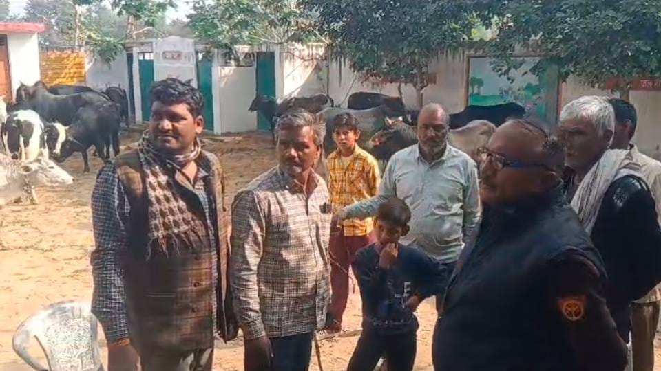 villagers confine stray animals to primary school Troubled by crop destruction in Firozabad