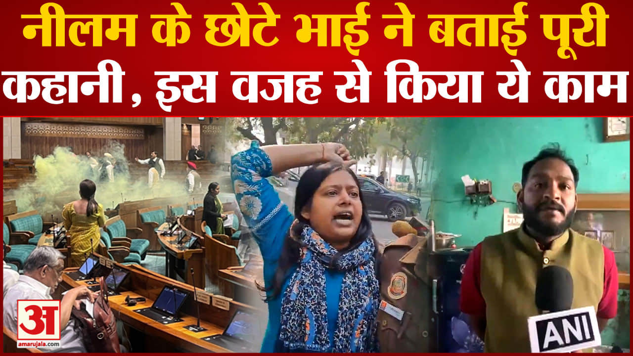 संसद सुरक्षा उल्लंघन