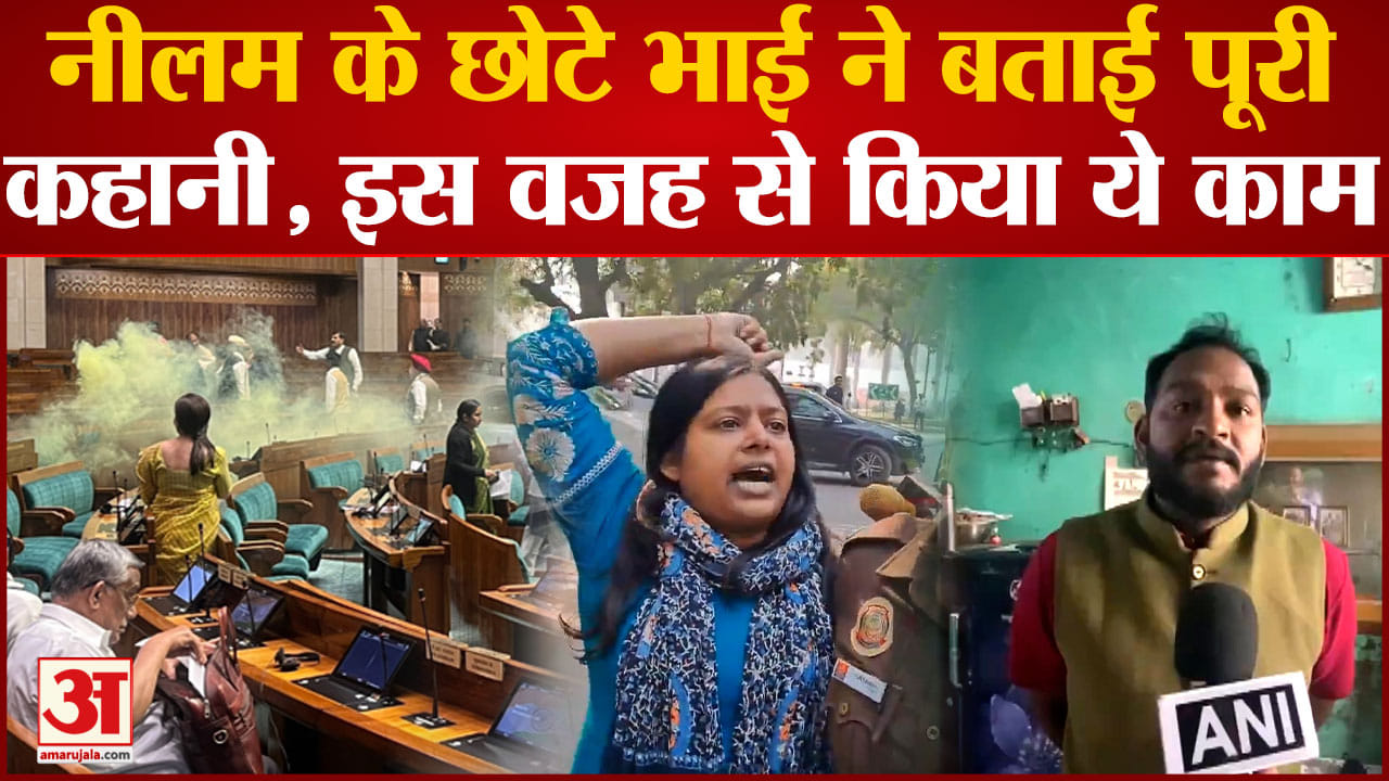 संसद सुरक्षा उल्लंघन