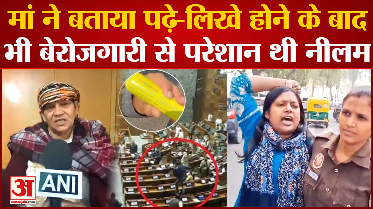 संसद सुरक्षा उल्लंघन