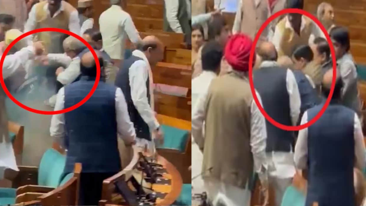 Parliament Security Breach: People who jumped into House beaten up by MPs before marshals catch them