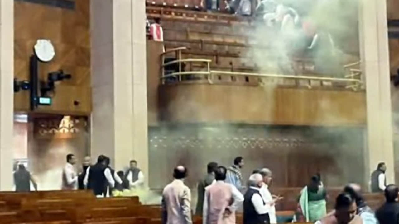 Parliament Security Breach: People who jumped into House beaten up by MPs before marshals catch them