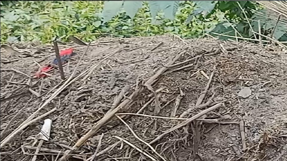 Dead body of newborn found buried in Ghure in Shahjahanpur