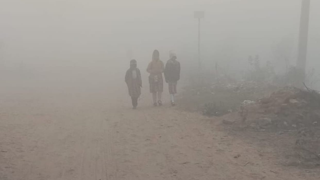 Haryana: Fog stopped the speed of vehicles, rail service remained stalled on Bhiwani-Rewari rail route